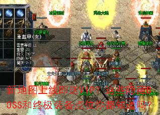 �µ�ͼ���߼���VIP����Щ����BOSS���ռ�װ����λ�㶼֪����