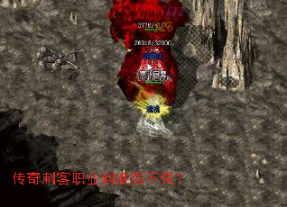 ����̿�ְҵ����ǿ��ǿ��