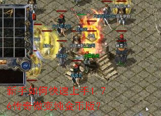 ������ο�������1.76����΢�䴿��Ұ棿