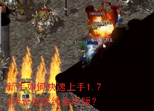 ������ο�������1.76����΢�䴿��Ұ棿