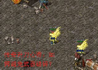 ���������ĵã���α����������飿