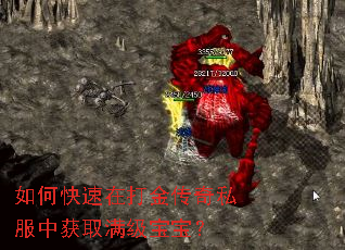 ��ο����ڴ����˽���л�ȡ����������