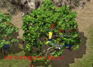 传奇中最危险的职业是什么? 传奇中最危险的职业是什么?