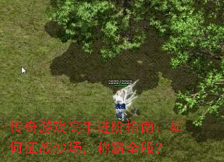 ������Ϸ���ֽ���ָ�ϣ������սɳ�����ư�ȫ����