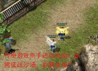 ������Ϸ���ֽ���ָ�ϣ������սɳ�����ư�ȫ����