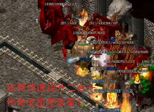 ��ο�����������һ���������������