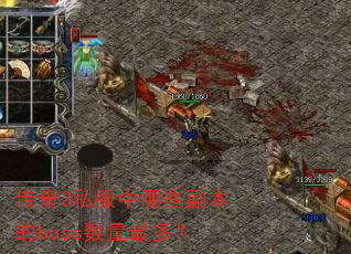 传奇3私服中哪些副本的boss数量最多? 传奇3私服中哪些副本的boss数量最多?