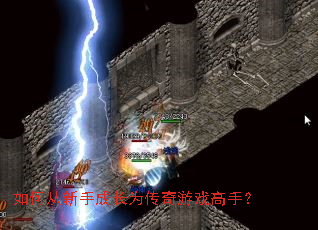 ��δ����ֳɳ�Ϊ������Ϸ���֣�