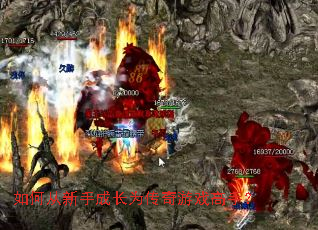 ��δ����ֳɳ�Ϊ������Ϸ���֣�