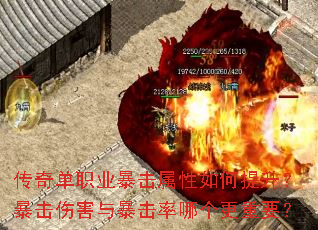 ���浥ְҵ����������������������˺��뱩�����ĸ�����Ҫ��