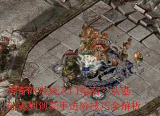 ����PKϵͳ����ָ�ϣ��ӻ������򵽸��ֽ��׼���ȫ����