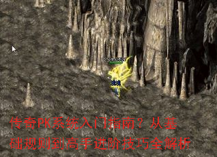 ����PKϵͳ����ָ�ϣ��ӻ������򵽸��ֽ��׼���ȫ����