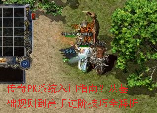 ����PKϵͳ����ָ�ϣ��ӻ������򵽸��ֽ��׼���ȫ����