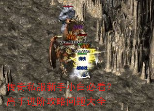 传奇私服新手小白必看?高手进阶攻略问题大全 传奇私服新手小白必看?高手进阶攻略问题大全