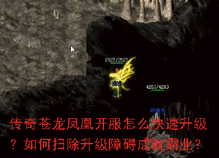 ���������˿�����ô�������������ɨ�������ϰ��ɾͰ�ҵ��