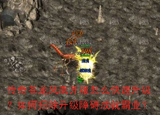 ���������˿�����ô�������������ɨ�������ϰ��ɾͰ�ҵ��