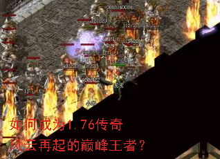 ��γ�Ϊ1.76�������������۷����ߣ�