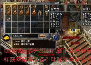 ��ο�������ս�������ֿ���ѡʲôְҵ��������ȡϡ��װ����߳��ɳ���ر���������Щ��