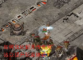 ����Ż��¿�������վ������������飿