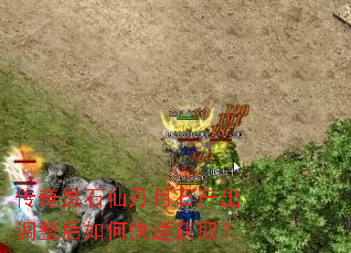 ������ʯ�ɵ���ʯ������������ο��ٻ�ȡ��