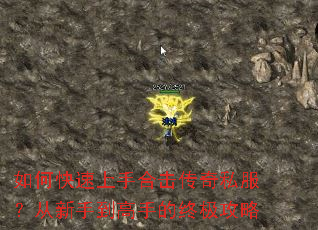 ��ο������ֺϻ�����˽���������ֵ����ֵ��ռ�����