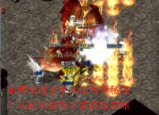 ��ο������ֺϻ�����˽���������ֵ����ֵ��ռ�����