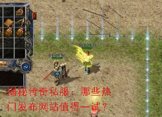 ���ش���˽������Щ���ŷ�����վֵ��һ�ԣ�