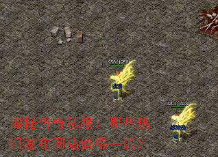 ���ش���˽������Щ���ŷ�����վֵ��һ�ԣ�