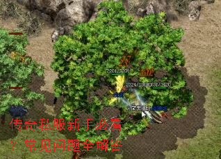 ����˽�����ֱؿ�����������ȫ���