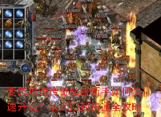 ��̬���ٴ���˽��������ο��������������ŵ���ͨȫ����