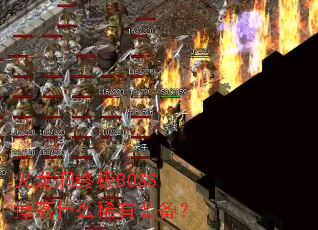 �������ռ�BOSS����ʲôϡ��װ����