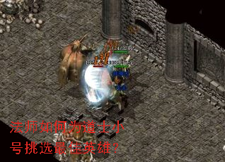 ��ʦ���Ϊ��ʿС����ѡ���Ӣ�ۣ�