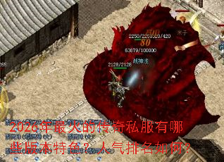 2026�����Ĵ���˽������Щ�汾��ɫ������������Σ�