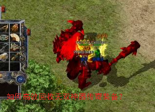 ��θ�Ч������˫��������װ����