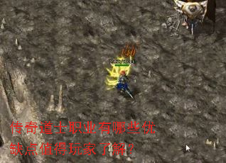 �����ʿְҵ����Щ��ȱ��ֵ������˽⣿