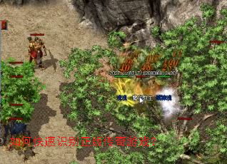 ��ο���ʶ�����洫����Ϸ��