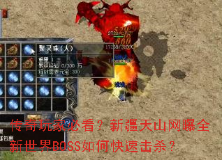 ������ұؿ����½���ɽ����ȫ������BOSS��ο��ٻ�ɱ��