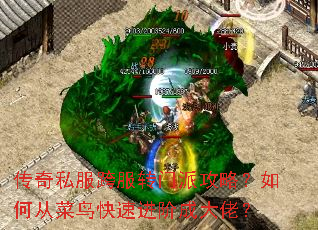 ����˽�����ת���ɹ��ԣ���δӲ�����ٽ��׳ɴ��У�