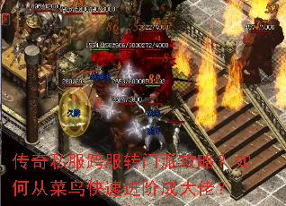 ����˽�����ת���ɹ��ԣ���δӲ�����ٽ��׳ɴ��У�