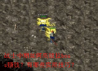 սʿ������θ�Ч��boss׬Ǯ������Щʵ�ü��ɣ�