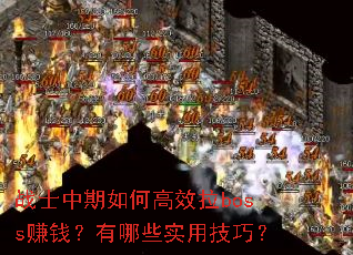 սʿ������θ�Ч��boss׬Ǯ������Щʵ�ü��ɣ�