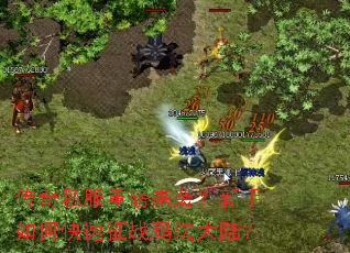 ����˽���ذ���Ϯ��������ο�����ս�귨��½��