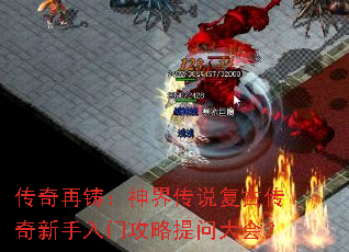 ������������紫˵���Ŵ����������Ź������ʴ�᣿