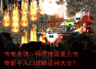 ������������紫˵���Ŵ����������Ź������ʴ�᣿