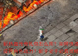 ����Ѫ���������ô�ã���ο���������ɫս�����������ֱؿ�����