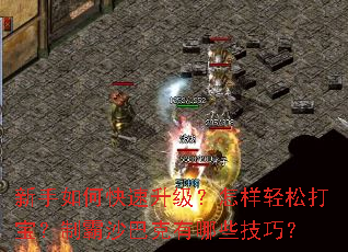 ������ο����������������ɴ򱦣��ư�ɳ�Ϳ�����Щ���ɣ�