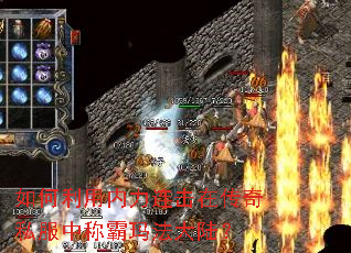 ����������������ڴ���˽���гư��귨��½��