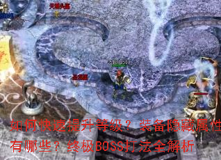 ��ο��������ȼ���װ��������������Щ���ռ�BOSS��ȫ����