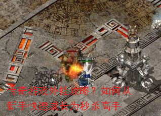 ������Ϸ��ҹ��ԣ���δ����ֿ��ٳɳ�Ϊ��ɱ����