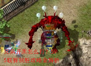 �ֵܿ�����ô��5V5������ʤ����ȫ����